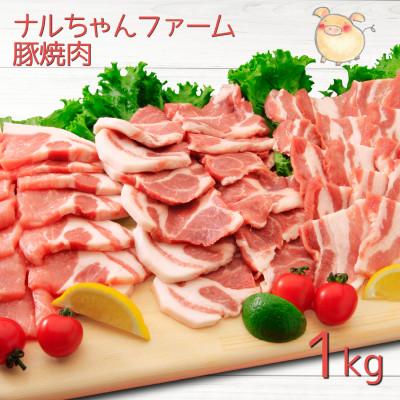 ふるさと納税 大村市 ナルちゃんファーム豚肉焼肉セット