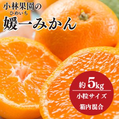 ふるさと納税 八幡浜市 小林果園の媛一みかん[小粒]約5kg[C24-34]