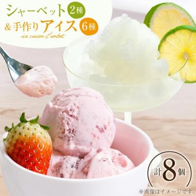 ふるさと納税 日向市 アイス 人気の手作りアイス6種&amp;シャーベット 2種 計8個