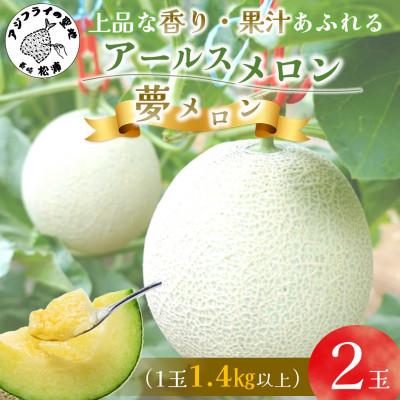 ふるさと納税 松浦市 大玉アールスメロン 夢メロン2玉(1玉1.4kg以上)