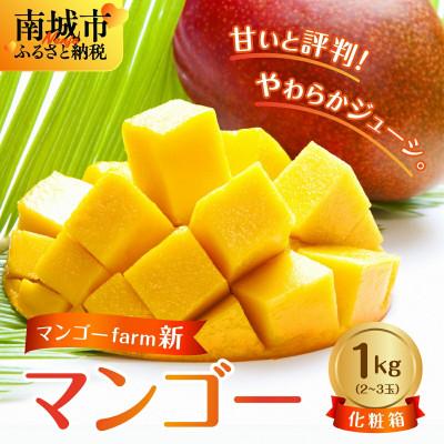 ふるさと納税 南城市 [2026年7月から順次発送・化粧箱]マンゴーfarm新の完熟マンゴー1kg