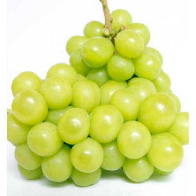 ふるさと納税 岡山市 シャインマスカット 家庭用 約2kg 2-4房程 岡山県産 種無し