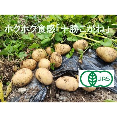 ふるさと納税 上郡町 [有機JAS認証]ホクホク食感のじゃがいも「十勝こがね」5kg