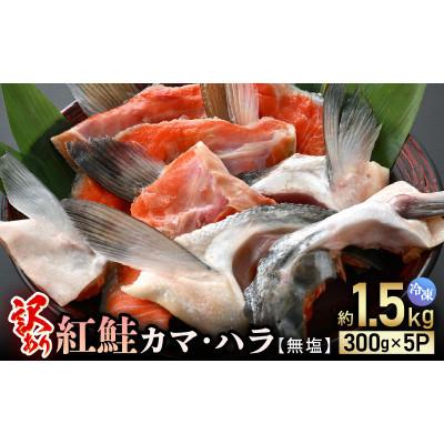 ふるさと納税 越前町 [のし付][訳あり]紅鮭カマ・ハラ 無塩 計約1.5kg入(300g × 5P)