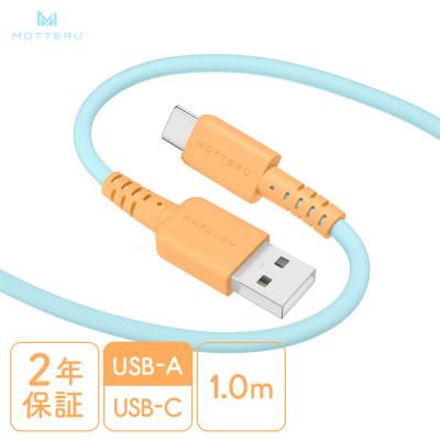 ふるさと納税 海老名市 バイカラーケーブル A to C 1m オレンジソーダ(MOT-BCECAC100-OS)