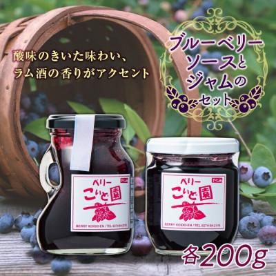 ふるさと納税 下仁田町 果実をたっぷり使ったブルーベリーソースとブルーベリージャムのセット F21K-101 | 