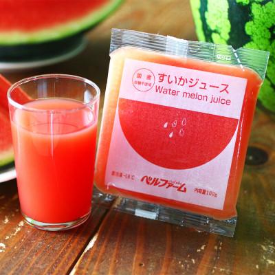 ふるさと納税 つくば市 すいかジュース 100g×15 パック[離島・沖縄配送不可]