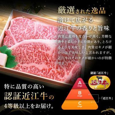 ふるさと納税 近江八幡市 極上近江牛サーロインステーキ【400g(200g×2枚)】 |  | 02