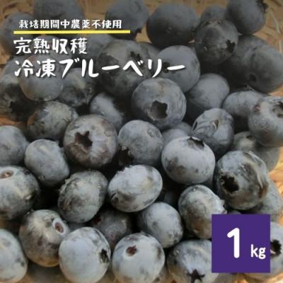 ふるさと納税 遠野市 冷凍 ブルーベリー 1kg 栽培期間中 農薬不使用 農家 直送 / 遠野もぐもぐカントリー