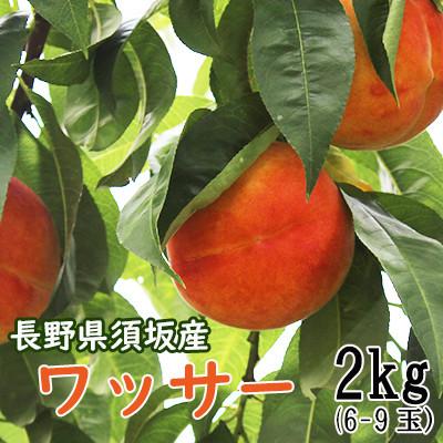 ふるさと納税 長野県 [先行予約受付中]長野から直送!須坂市で生まれた果物ワッサー2kg(6玉〜9玉)