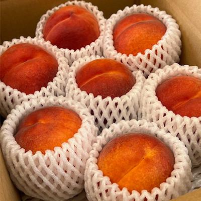 ふるさと納税 長野県 【先行予約受付中】長野から直送!須坂市で生まれた果物ワッサー2kg(6玉〜9玉)の画像