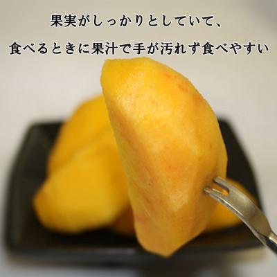 ふるさと納税 長野県 【先行予約受付中】長野から直送!須坂市で生まれた果物ワッサー2kg(6玉〜9玉)の画像
