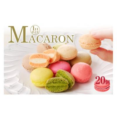 ふるさと納税 高浜市 マカロン20個入(20種類)