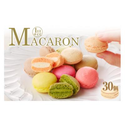 ふるさと納税 高浜市 マカロン30個入(30種類)