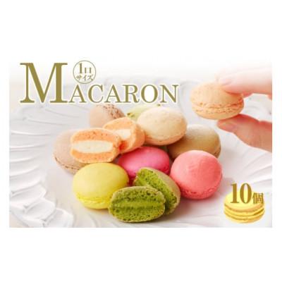 ふるさと納税 高浜市 マカロン10個入(10種類)