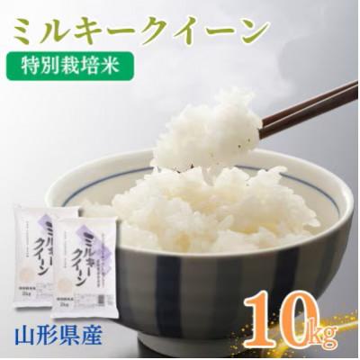 ふるさと納税 南陽市 令和7年産 山形県産特別栽培米 ミルキークイーン5kg×2袋(精米)[S2409]
