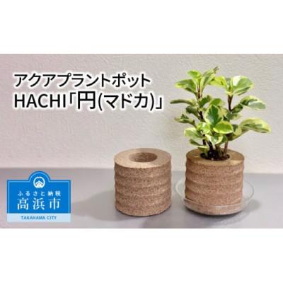 ふるさと納税 高浜市 アクアプラントポットHACHI「円(マドカ)」