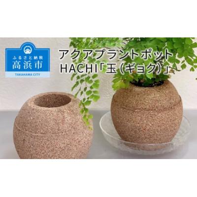 ふるさと納税 高浜市 アクアプラントポットHACHI「玉(ギョク)」