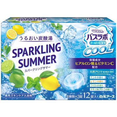 ふるさと納税 和歌山市 炭酸ガス クール入浴剤 8種の香り24回分全2箱各12錠入 HERSバスラボクールお試しセット