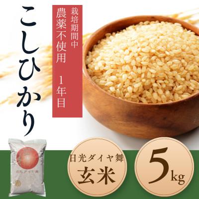 ふるさと納税 日光市 こしひかり玄米5kg 日光ダイヤ舞 栽培期間中農薬不使用1年目 ◆お米◆美味しい◆玄米