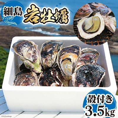 ふるさと納税 日向市 細島 岩がき 約3.5kg