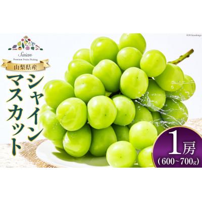 ふるさと納税 韮崎市 [2026年発送]山梨県産シャインマスカット1房(600〜700g)