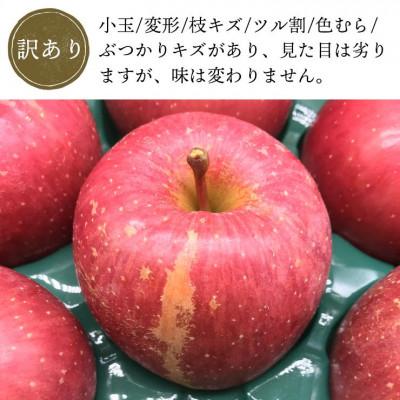 ふるさと納税 田舎館村 【11月より順次発送】青森県産「サンふじ」家庭