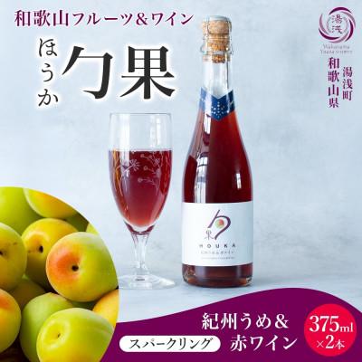 ふるさと納税 湯浅町 ワインカクテル スパークリング 勹果 ほうか 紀州うめ&amp;赤ワイン 375ml 2本 湯浅ワイナリー