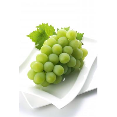 ふるさと納税 早島町 晴れの国から届けます。シャインマスカット2房1kg入り