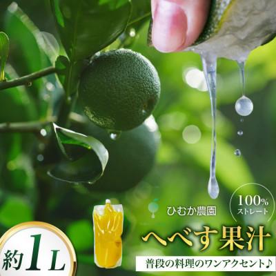 ふるさと納税 日向市 宮崎 100%ストレート へべす果汁 1L
