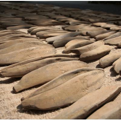 ふるさと納税 中央区 [オーダーメイドツアー]選べるお土産付き 水辺の街「晴海」のまち歩きと香る鰹節のだし活!(2名)