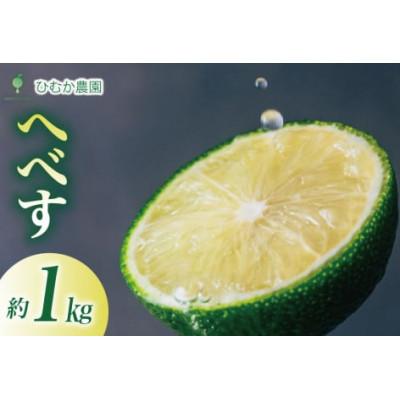 ふるさと納税 日向市 [期間限定発送]宮崎 種が少ない ひむか農園のへべす 1kg 化粧箱入り