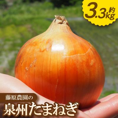 ふるさと納税 高石市 《約3.3kg》藤原農園の泉州たまねぎ　なにわの伝統野菜　サイズ混合 | 
