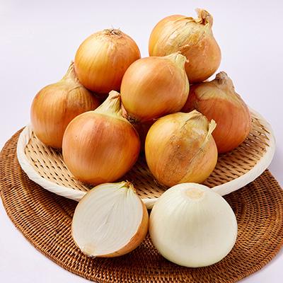ふるさと納税 高石市 《約3.3kg》藤原農園の泉州たまねぎ　なにわの伝統野菜　サイズ混合 |  | 01
