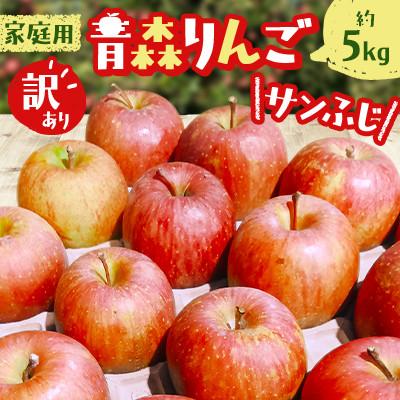 ふるさと納税 鶴田町 【糖度13度以上保証】青森りんご 家庭用 訳あり