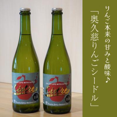 ふるさと納税 大子町 りんごシードル 720ml×2本セット|茨城県 奥久慈 大子町 藤田観光りんご園
