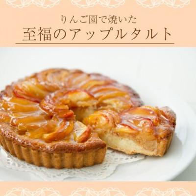 ふるさと納税 大子町 りんご園で焼いた至福のアップルタルト(ホールサイズ)|茨城県 大子町 奥久慈 藤田観光りんご園