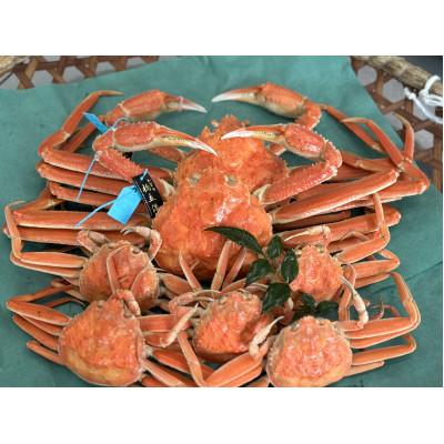 ふるさと納税 加賀市 [先行予約][冷蔵発送]「石川の海の宝」豪華二大蟹セット(加能ガニ2杯・香箱ガニ5杯)