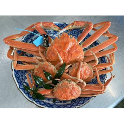 ふるさと納税 加賀市 [先行予約][冷蔵発送]「石川の海の宝」豪華二大蟹セット(加能ガニ1杯・香箱ガニ3杯)