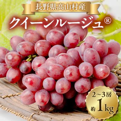 ふるさと納税 高山村 [2026年発送]クイーンルージュ(R) 2〜3房(約1kg)