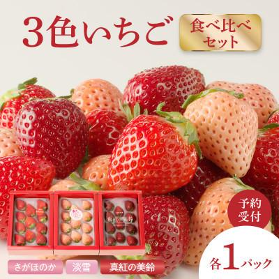 ふるさと納税 玄海町 ★予約受付★豪華!3色いちご食べ比べセット[C030]