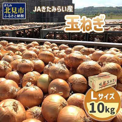 ふるさと納税 北見市 [先行受付]JAきたみらい産 玉ねぎ Lサイズ 10kg