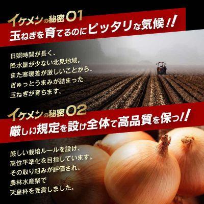 ふるさと納税 北見市 【先行受付】JAきたみらい産 玉ねぎ Lサイズ以上 10kg |  | 02