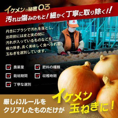 ふるさと納税 北見市 【先行受付】JAきたみらい産 玉ねぎ Lサイズ以上 10kg |  | 03