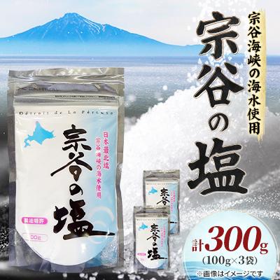 ふるさと納税 稚内市 【天然ブランド塩】宗谷の塩100g×3袋 | 
