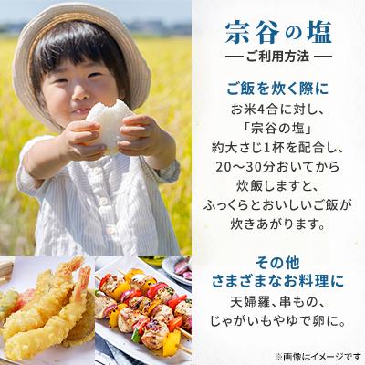 ふるさと納税 稚内市 【天然ブランド塩】宗谷の塩100g×3袋 |  | 02