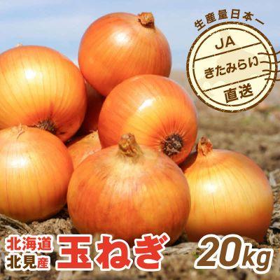 ふるさと納税 北見市 【先行受付】JAきたみらい産 玉ねぎ Lサイズ以上 20kg | 