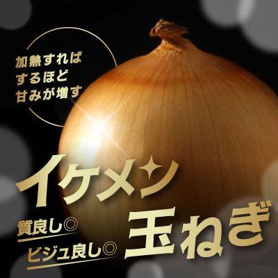 ふるさと納税 北見市 【先行受付】JAきたみらい産 玉ねぎ Lサイズ以上 20kg |  | 01