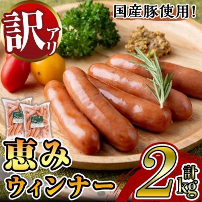 ふるさと納税 湧水町 [業務用・訳あり]恵みウィンナー計約2kg 約1kg×2P 国産豚肉ウインナー[ナンチク](湧水町)