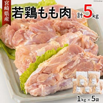 ふるさと納税 美郷町 宮崎県産 若鶏もも 1kg×5 計5kg